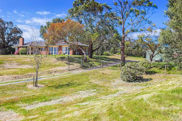Third view of Homely house listing, 201 Sandy Road, Fingal VIC 3939