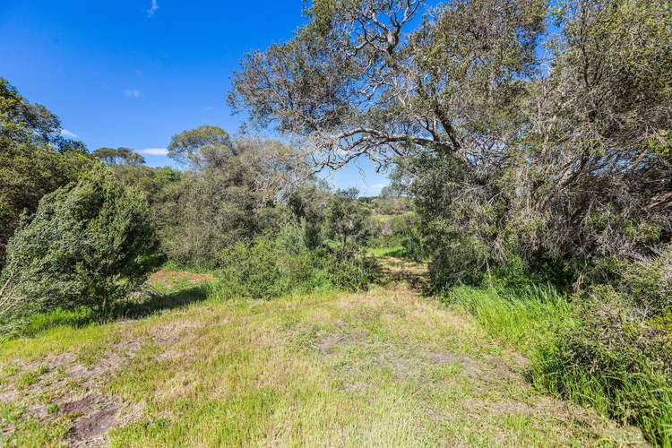 Sixth view of Homely house listing, 201 Sandy Road, Fingal VIC 3939