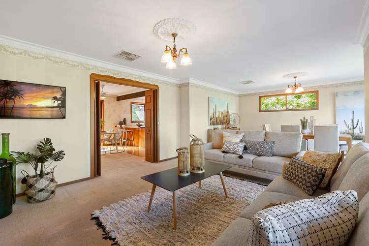 Third view of Homely house listing, 19 Wicklow Avenue, Croydon VIC 3136