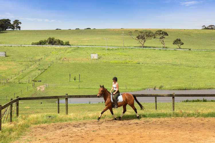 Third view of Homely acreageSemiRural listing, 1380 Anglesea Road, Bellbrae VIC 3228