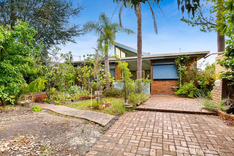Main view of Homely house listing, 142 Wantirna Road, Ringwood VIC 3134
