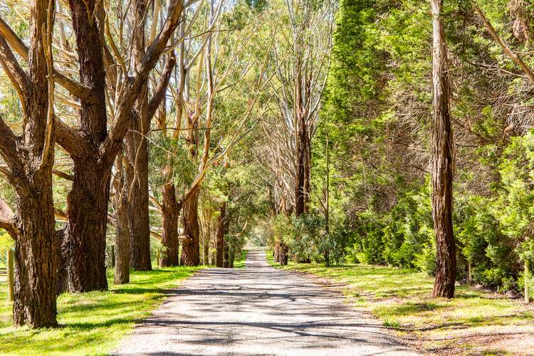 Second view of Homely house listing, 83 Tucks Road, Main Ridge VIC 3928