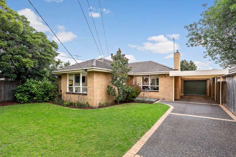 Main view of Homely house listing, 19 Flowerdale Road, Hampton East VIC 3188