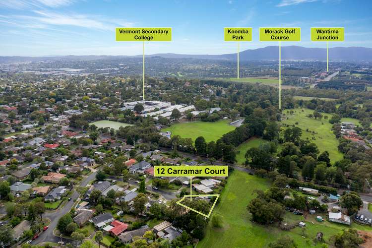 Sixth view of Homely house listing, 12 Carramar Court, Vermont VIC 3133