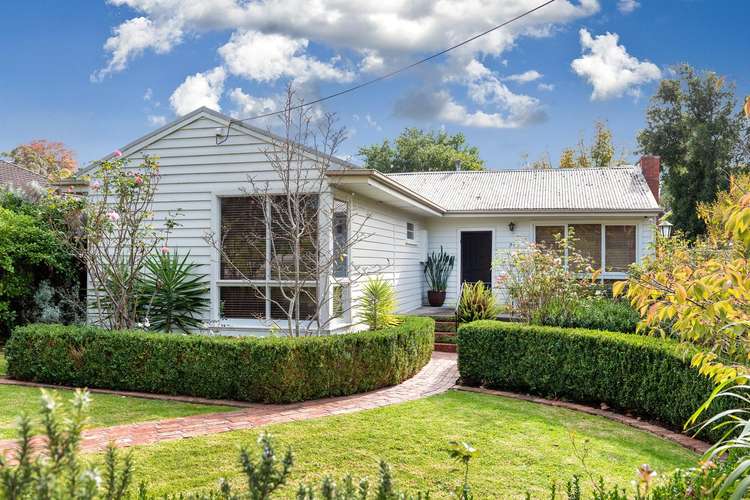Main view of Homely house listing, 97 Albion Road, Box Hill VIC 3128