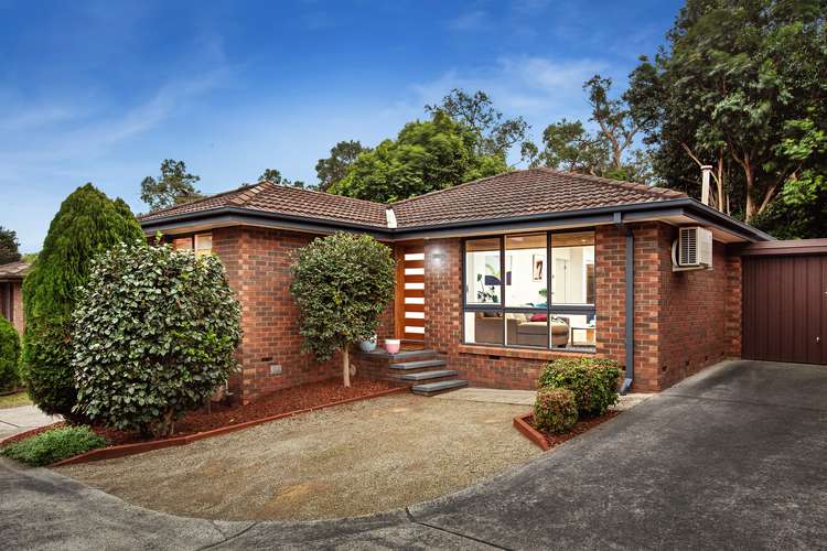 Main view of Homely unit listing, 3/4 Dublin Road, Ringwood East VIC 3135