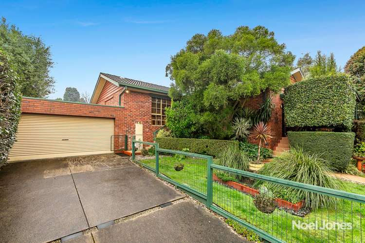 3/65 Evelyn Road, Ringwood North VIC 3134