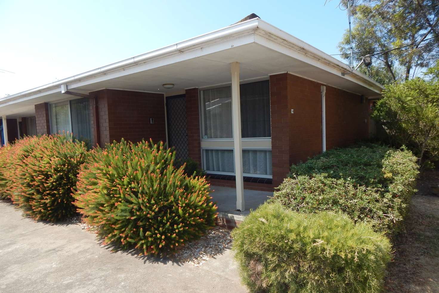 Main view of Homely unit listing, 1/14 Staverly Road, Herne Hill VIC 3218