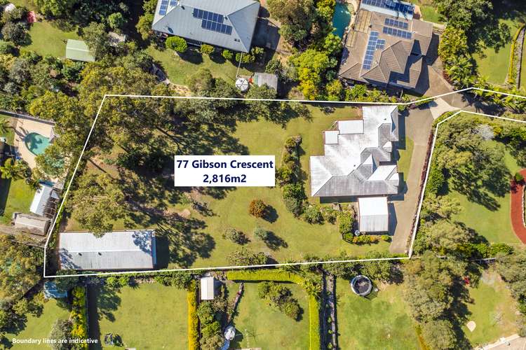 Second view of Homely house listing, 77 Gibson Crescent, Bellbowrie QLD 4070