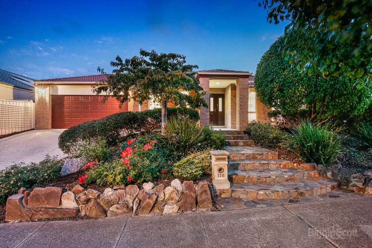 Main view of Homely house listing, 116 Rosebank Drive, Cranbourne North VIC 3977