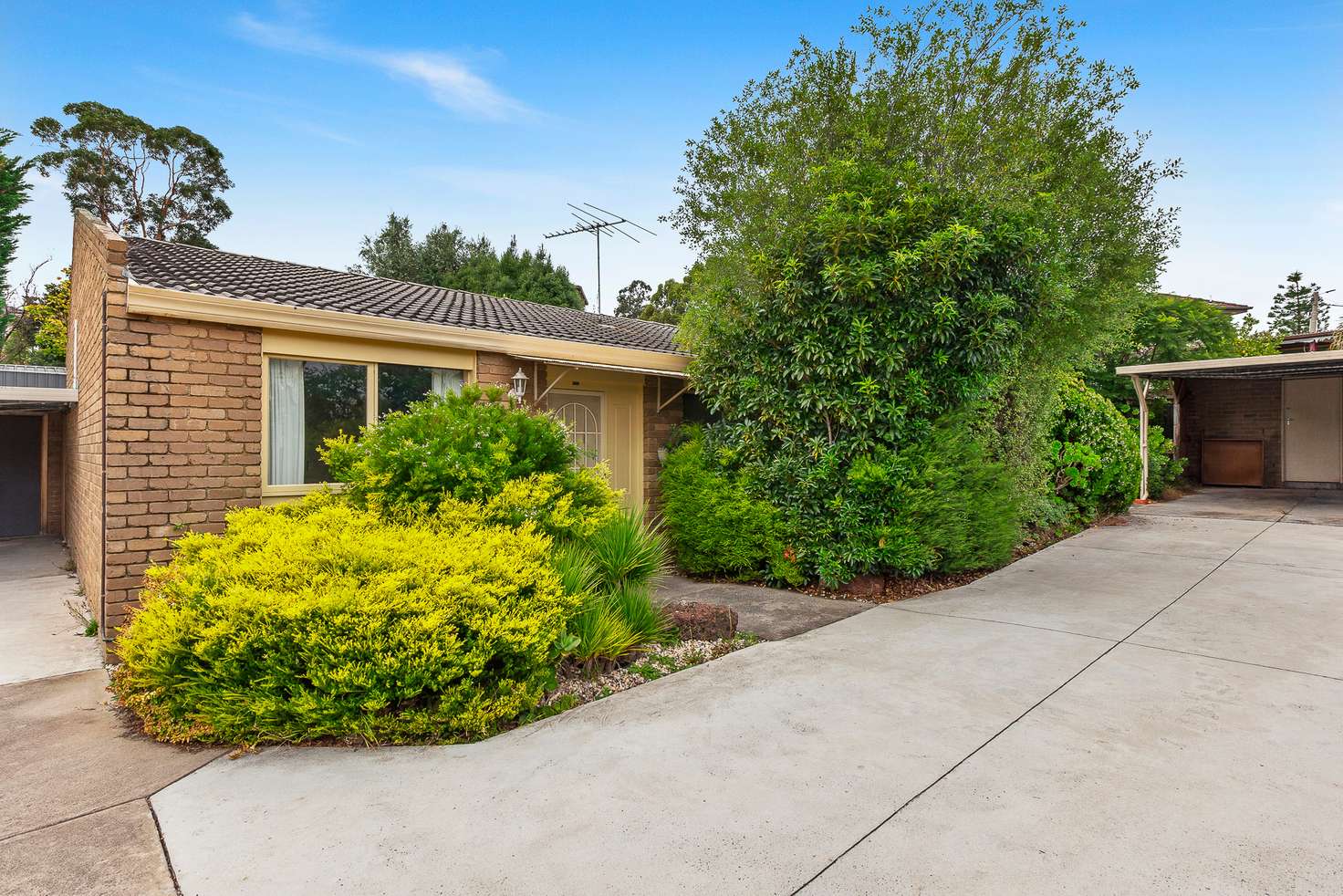 Main view of Homely townhouse listing, 3/24 Mulgrave Street, Ashwood VIC 3147