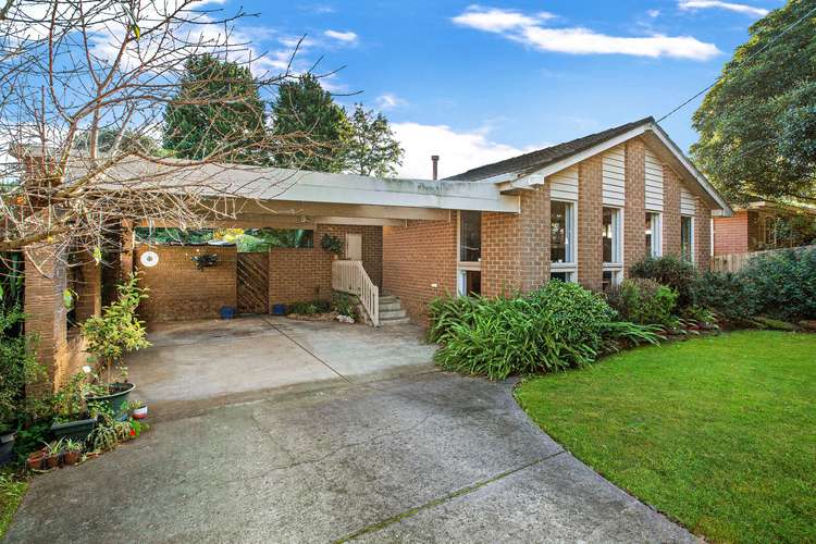 Main view of Homely house listing, 116 Wantirna Road, Ringwood VIC 3134