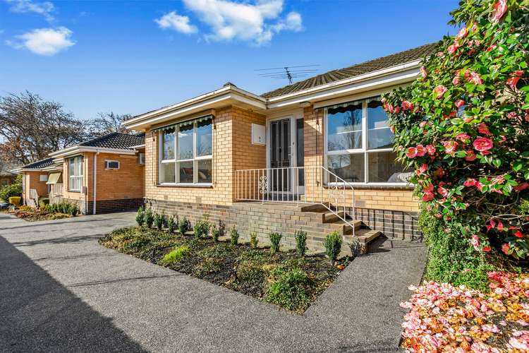 Main view of Homely unit listing, 3/52 Windsor Crescent, Surrey Hills VIC 3127