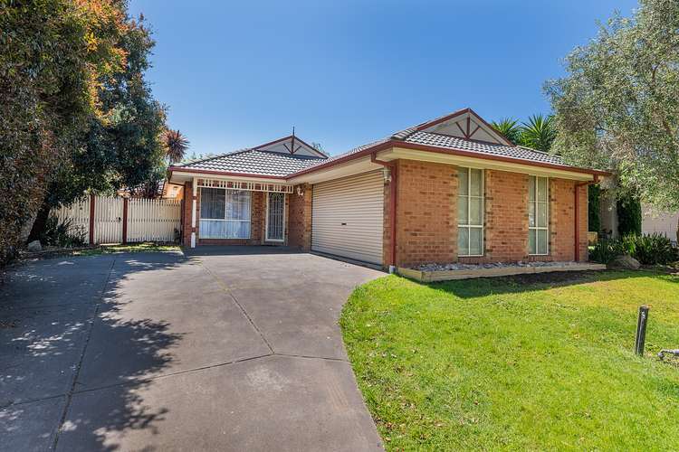 20 Mathoura Court, Berwick VIC 3806