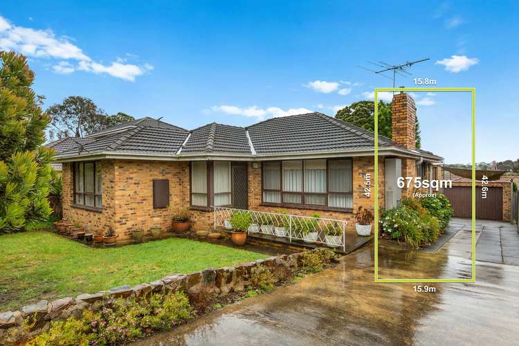 29 Williamson Road, Mont Albert North VIC 3129