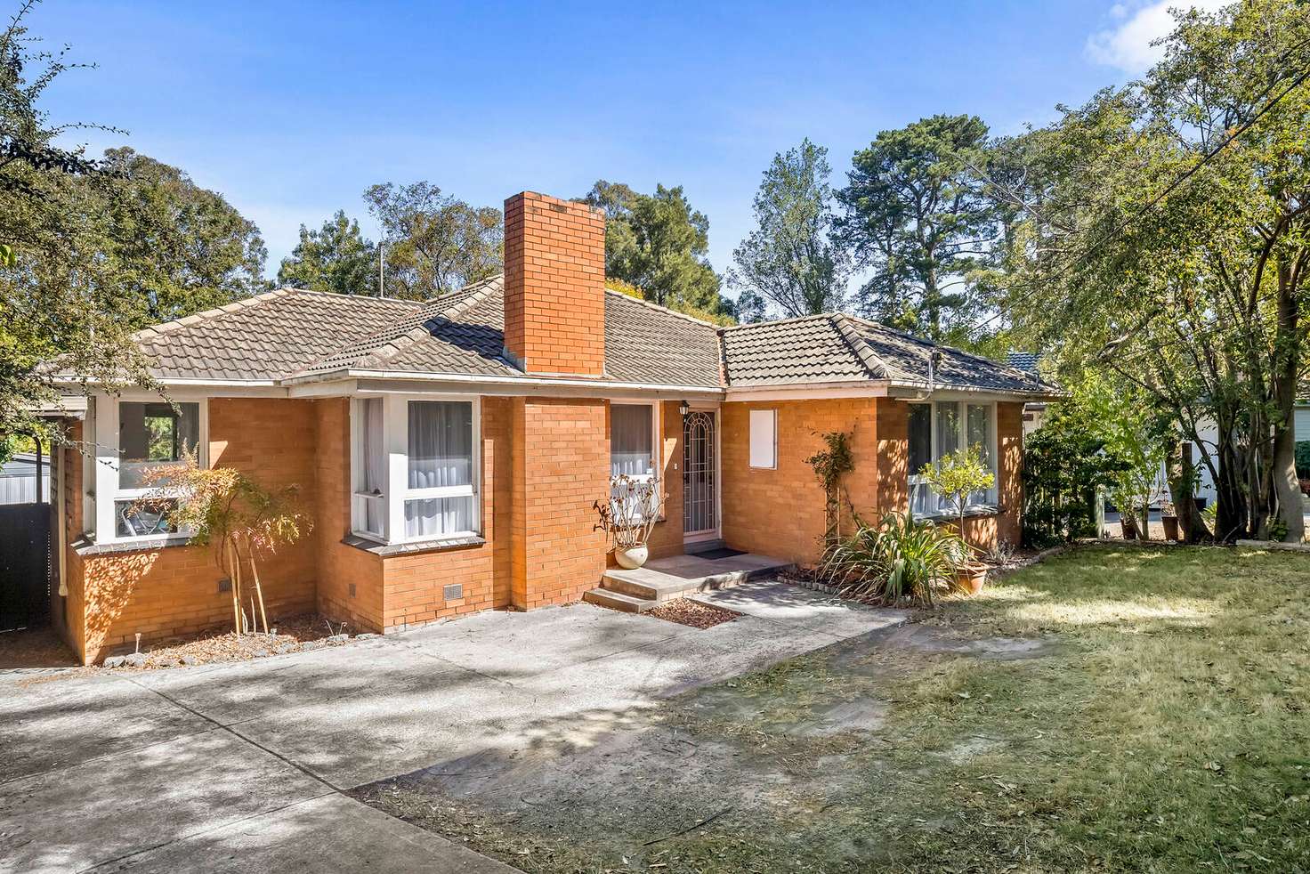 Main view of Homely house listing, 10 Nandina Street, Forest Hill VIC 3131