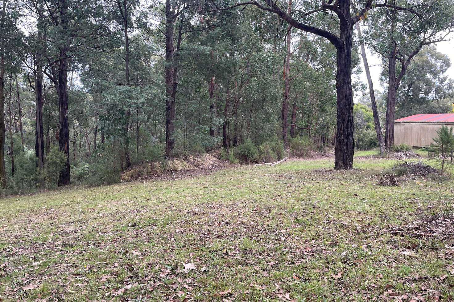 Main view of Homely residentialLand listing, 181 Rainy Hill Road, Cockatoo VIC 3781