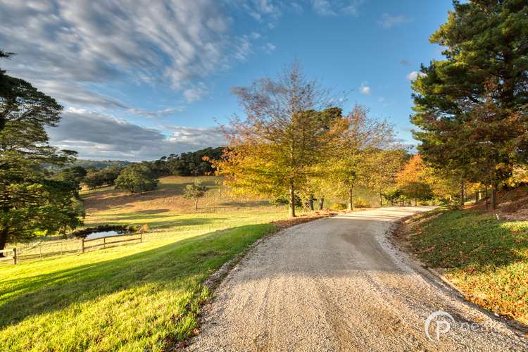 Third view of Homely house listing, 135 Payne Road, Beaconsfield VIC 3807