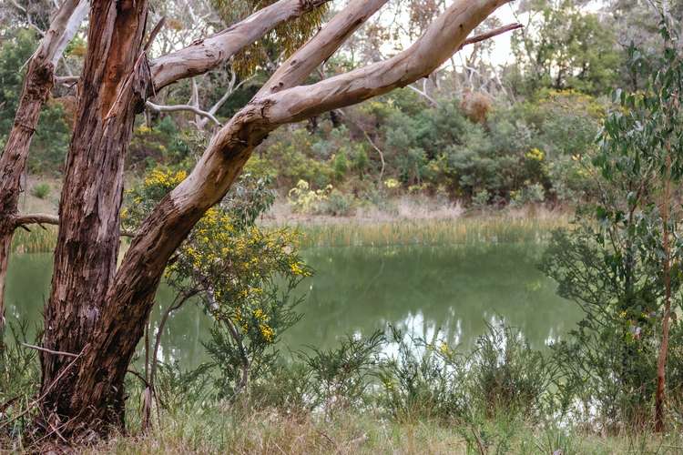 Main view of Homely residentialLand listing, 80 Coolart Road, Tuerong VIC 3915