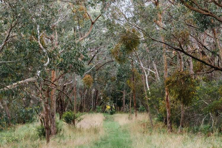 Second view of Homely residentialLand listing, 80 Coolart Road, Tuerong VIC 3915