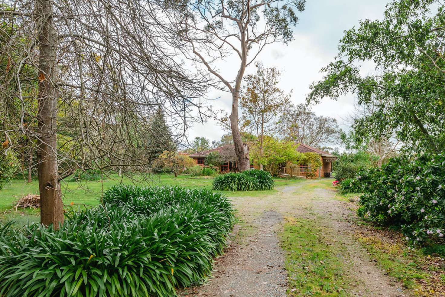 Main view of Homely acreageSemiRural listing, 90 Balnarring Road, Balnarring VIC 3926