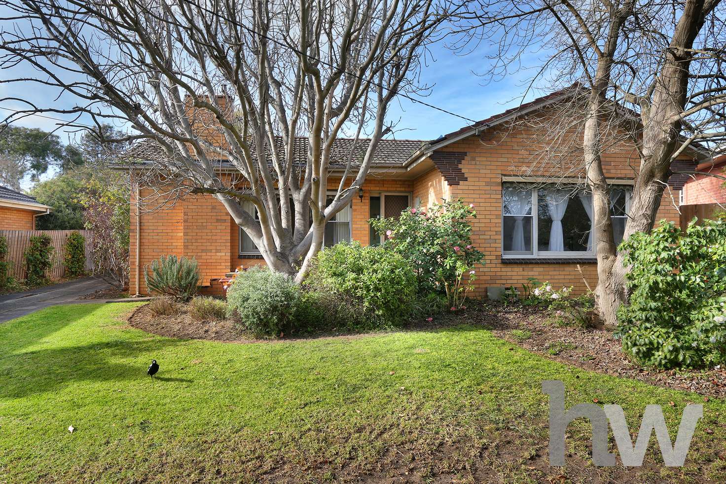 Main view of Homely house listing, 5 Brocka Avenue, Belmont VIC 3216