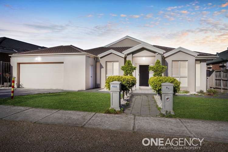 81 Inglewood Drive, Burnside Heights VIC 3023