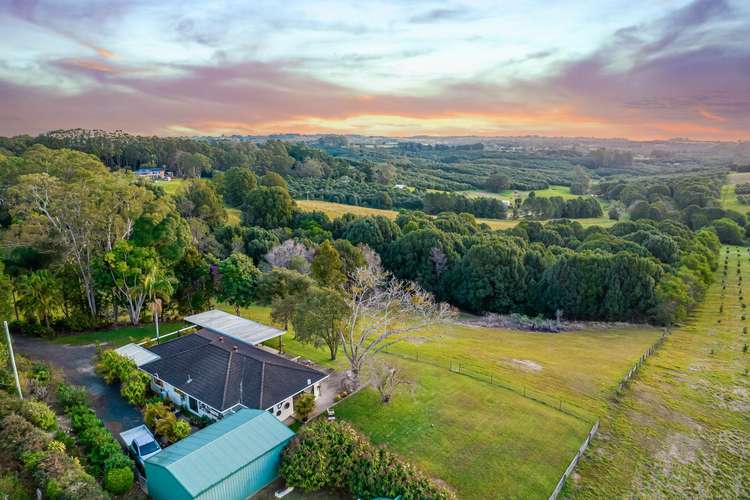 599 Pearces Creek Road, Alstonvale NSW 2477