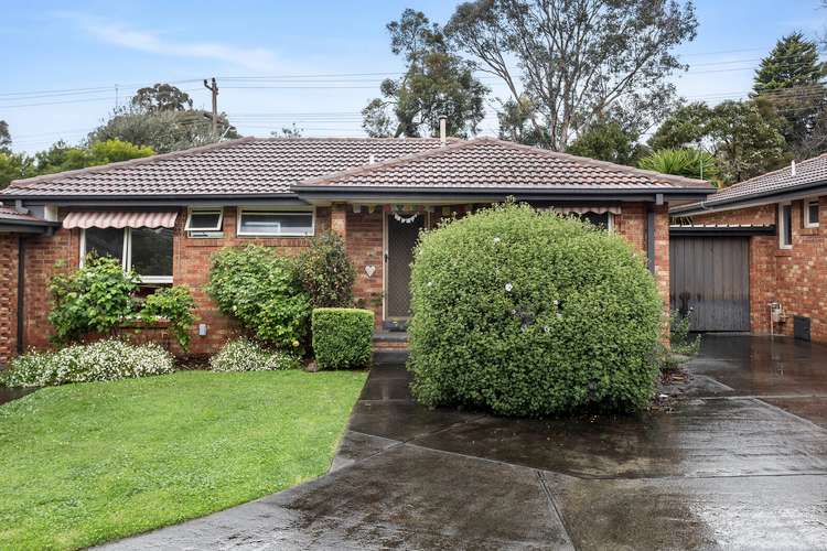 Main view of Homely unit listing, 5/48 Leslie Street, Donvale VIC 3111