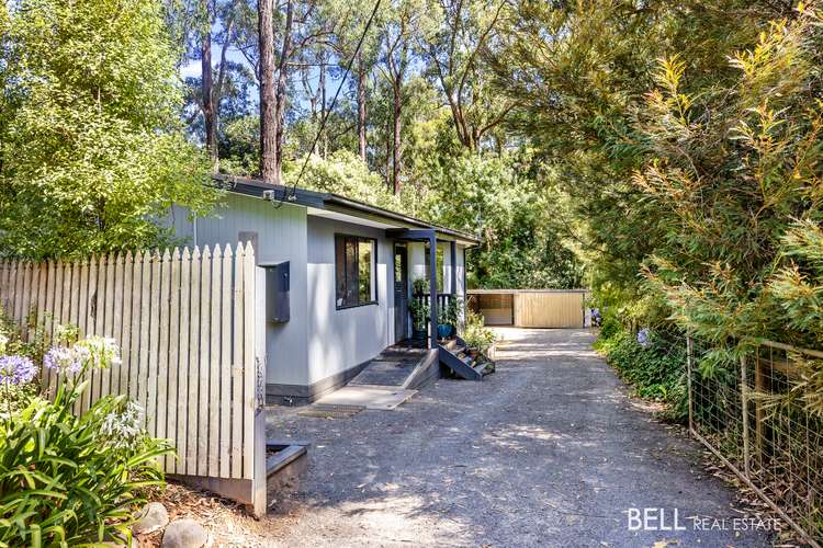 13 Rainbow Trout Avenue, East Warburton VIC 3799