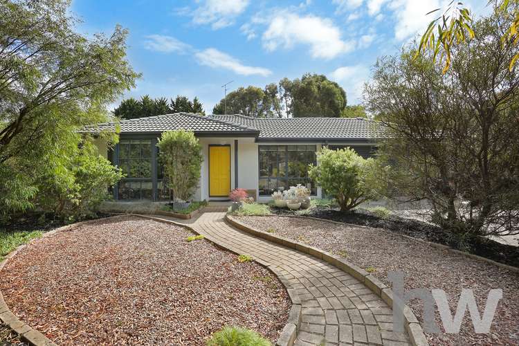 Main view of Homely house listing, 49 James Cook Drive, Wandana Heights VIC 3216