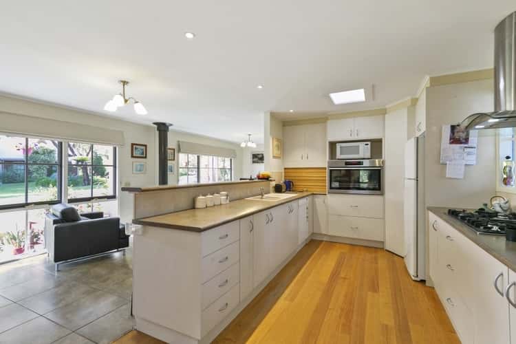 Fourth view of Homely house listing, 16 Painkalac Court, Aireys Inlet VIC 3231