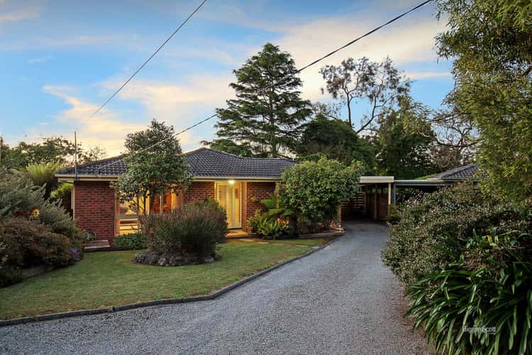 Main view of Homely house listing, 17 Donald Court, Boronia VIC 3155