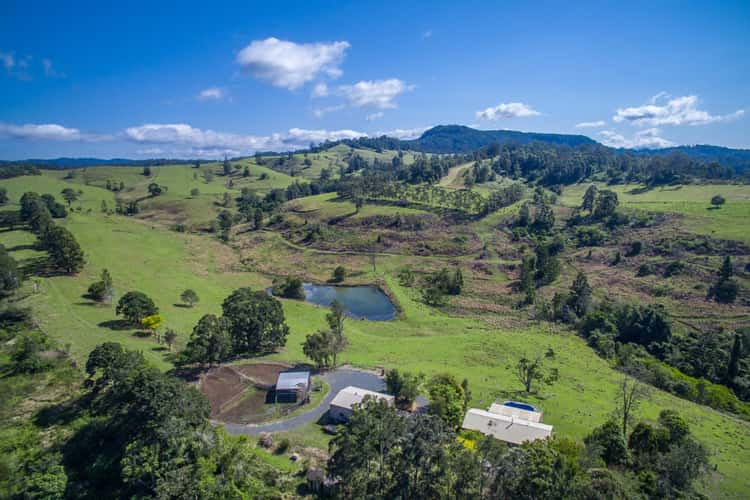 Seventh view of Homely livestock listing, 24 Oakey Creek Road, Georgica NSW 2480