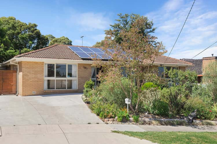 19 Cyprus Avenue, Nunawading VIC 3131