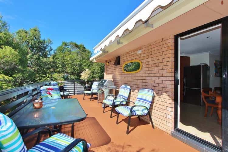 Main view of Homely house listing, 12 Bergalia Crescent, Camden Head NSW 2443