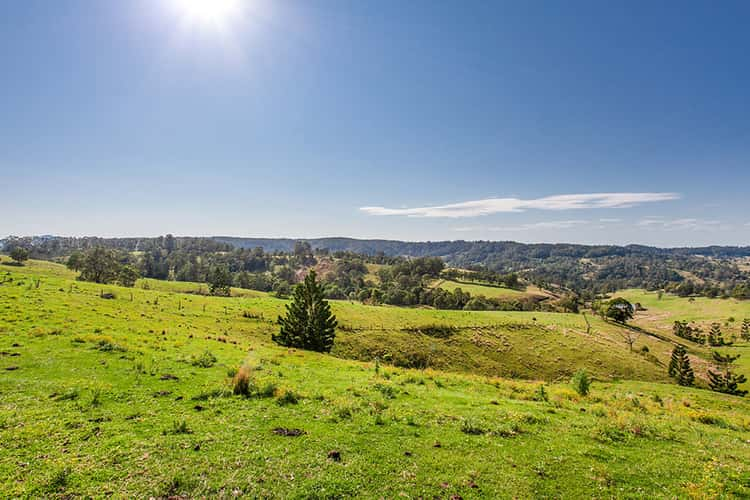 Third view of Homely livestock listing, 24 Oakey Creek Road, Georgica NSW 2480