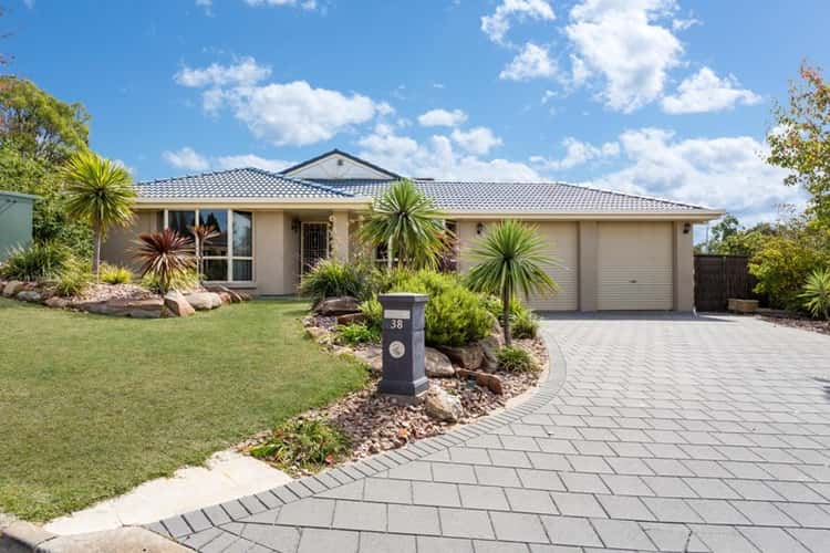 Main view of Homely house listing, 38 Temby Court, Greenwith SA 5125