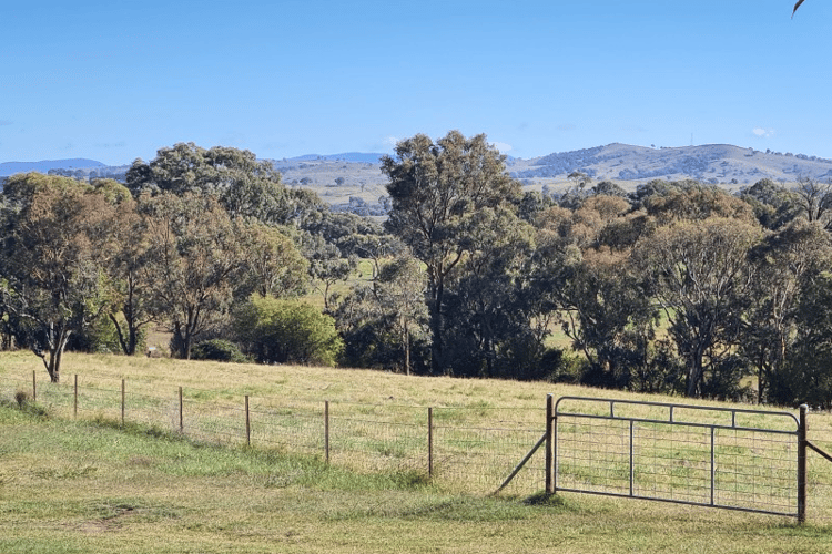 366 Mandurama Road, Mandurama NSW 2792