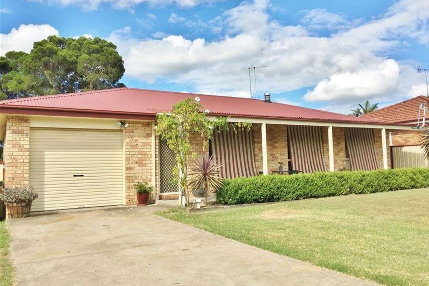 Main view of Homely house listing, 43 Clift Street, Greta NSW 2334