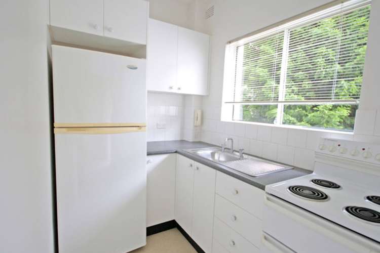 Third view of Homely studio listing, 3/187 West Street, Crows Nest NSW 2065