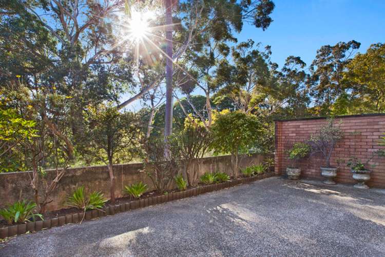 Main view of Homely unit listing, 3/41 Milray Avenue, Wollstonecraft NSW 2065