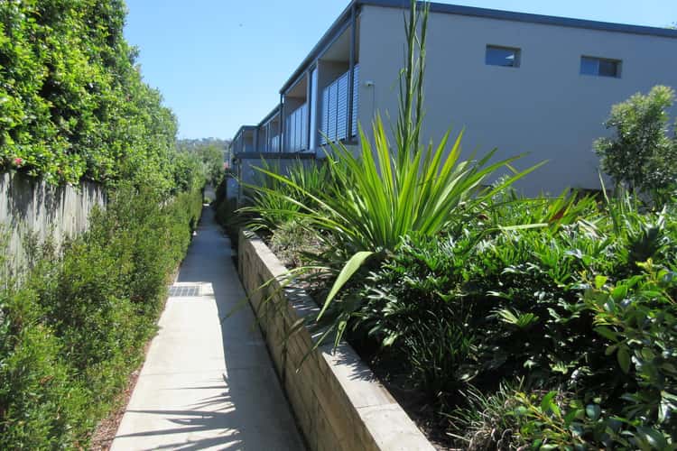 Main view of Homely unit listing, 41/22 Victor Road, Brookvale NSW 2100