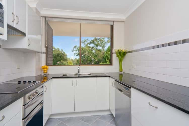 Third view of Homely unit listing, 13/1 Jersey Road, Artarmon NSW 2064