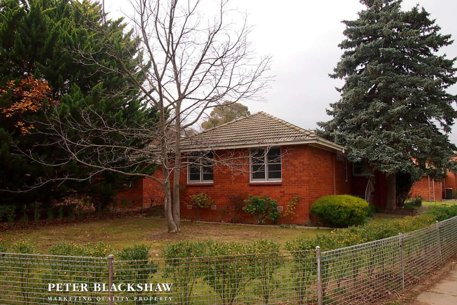 Main view of Homely house listing, 37 Tallara Parkway, Narrabundah ACT 2604