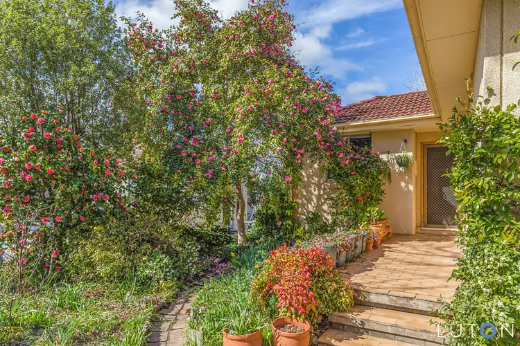 4 Grevillea Street, O'connor ACT 2602
