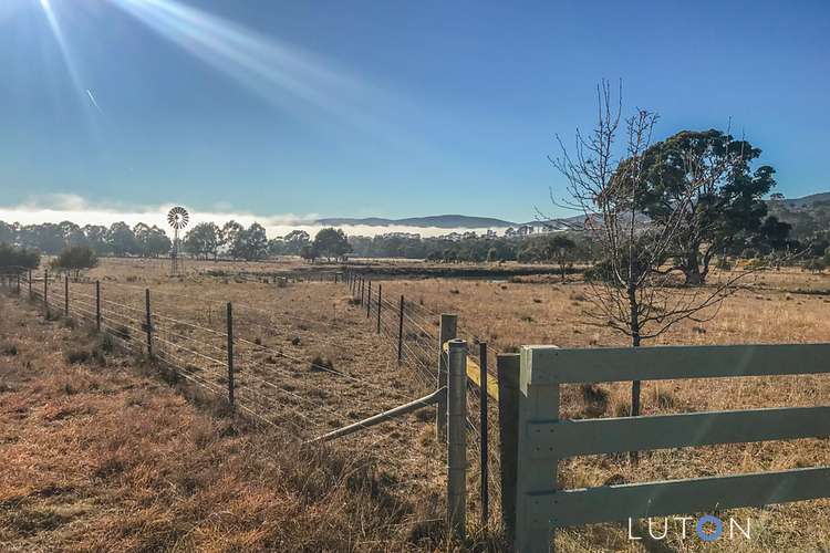 Sixth view of Homely ruralOther listing, 383 Williamsdale Road, Burra NSW 2620