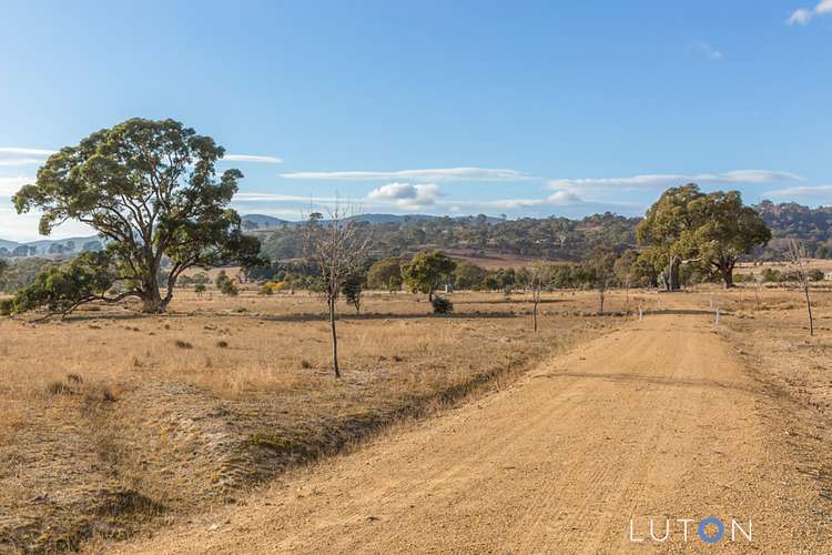 Seventh view of Homely ruralOther listing, 383 Williamsdale Road, Burra NSW 2620