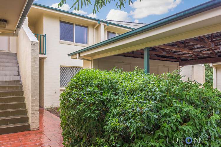 38/12 Albermarle Place, Phillip ACT 2606