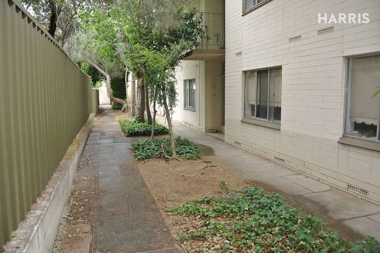 Main view of Homely unit listing, 11/67 Queen Street, Norwood SA 5067